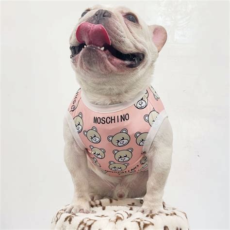 moschino dog accessories.